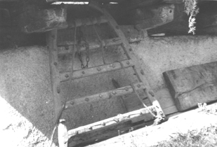 eika image